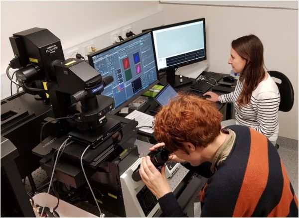 In lab, one person looking into a microscope and the other working on the adjoining computer.