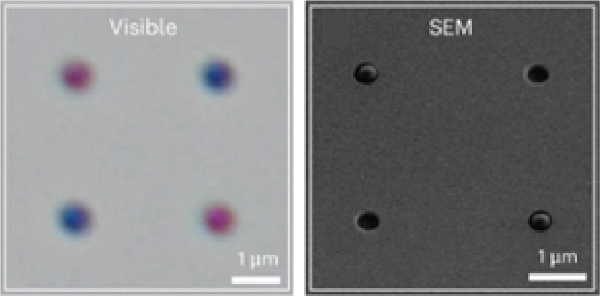 Diagram showing structural colouration, visible and SEM.