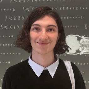 Profile picture of Joel Bellesini