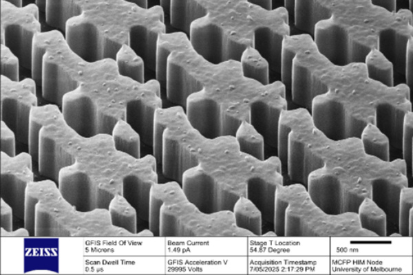 Microscope view of